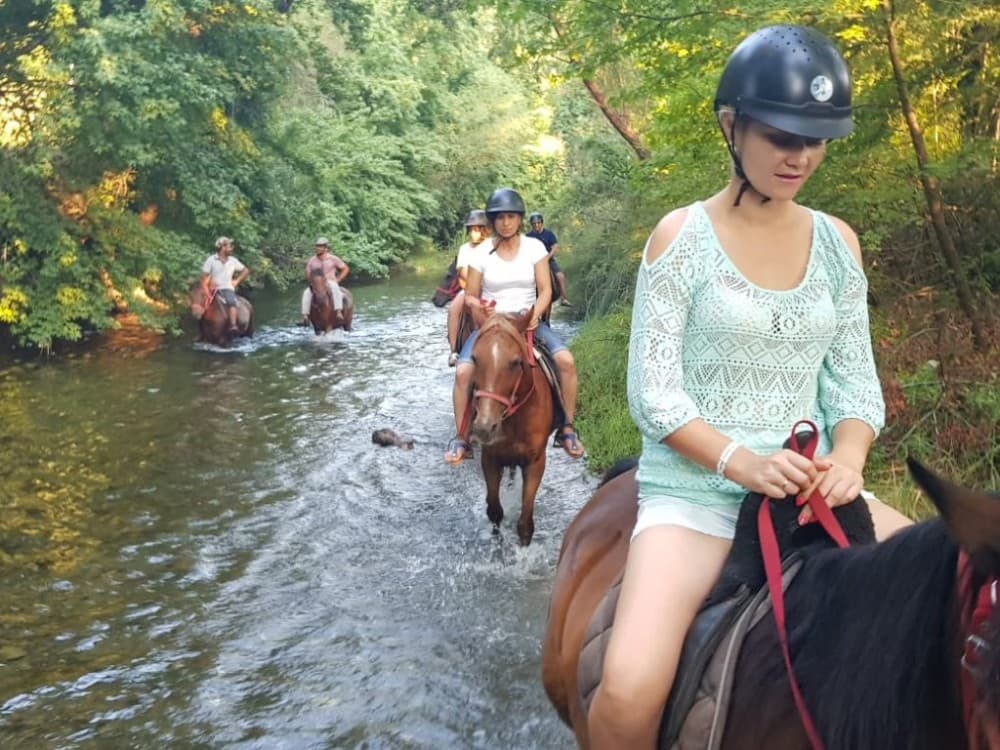 Marmaris Combo Tour | ®ExcursionMania - Image 8