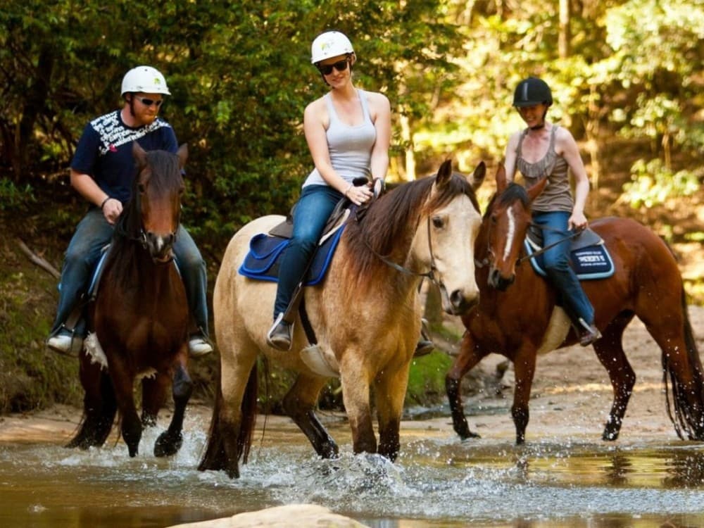 Marmaris Combo Tour 2 Horse Safari-Canoeing Tour | ®ExcursionMania - Image 7