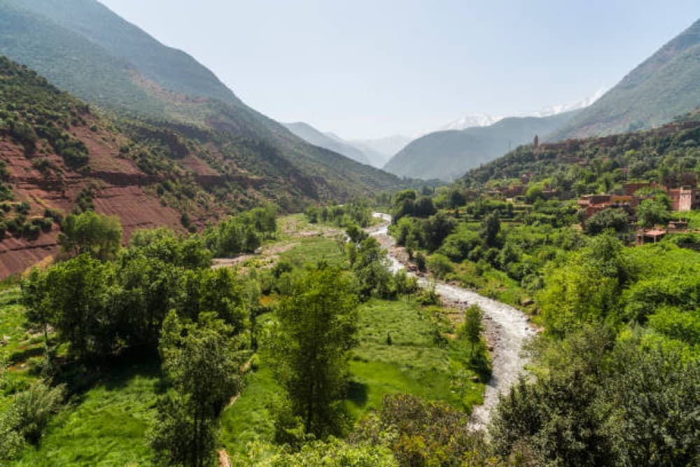 Discover Ourika: Waterfalls, Berber Villages & Mountain Views | ®ExcursionMania - Image 8