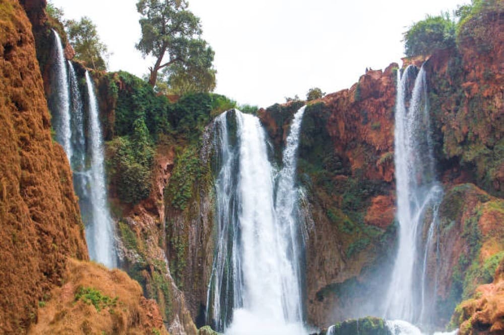 Ouzoud Adventure: A Full-Day Journey to Moroccos Iconic Falls | ®ExcursionMania - Image 8