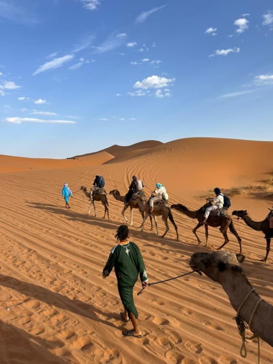3-Day Sahara Adventure: Agadir to Marrakech via Ait Ben Haddou | ®ExcursionMania - Image 4
