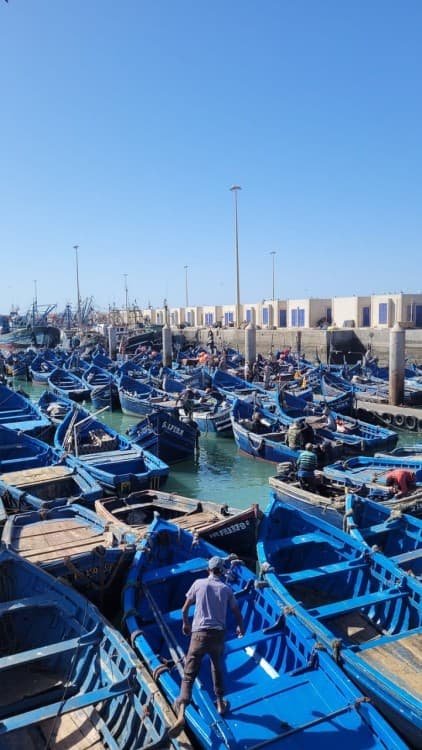 Day Trip to Essaouira: Seaside Beauty & Cultural Treasures | ®ExcursionMania - Image 4