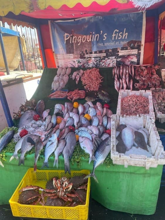 Day Trip to Essaouira: Seaside Beauty & Cultural Treasures | ®ExcursionMania - Image 5