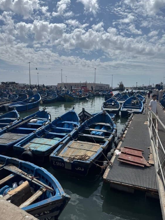 Day Trip to Essaouira: Seaside Beauty & Cultural Treasures | ®ExcursionMania - Image 7