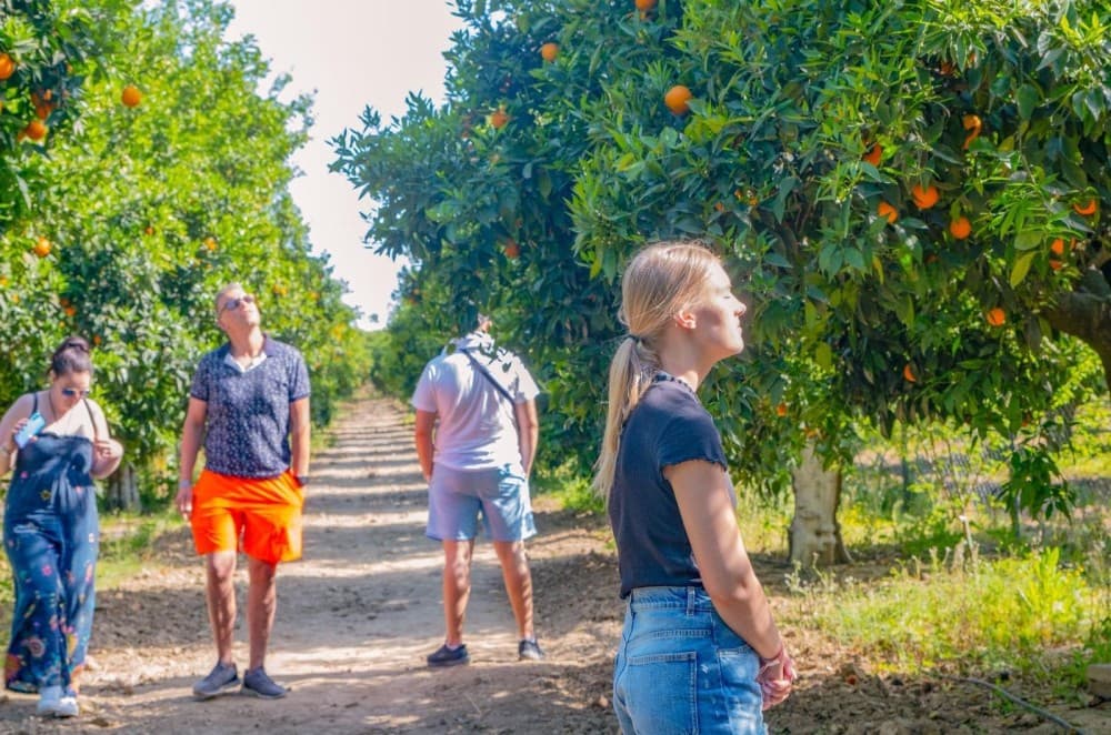 Side Mix Tour: The Best of Side in One Day | ®ExcursionMania - Image 8