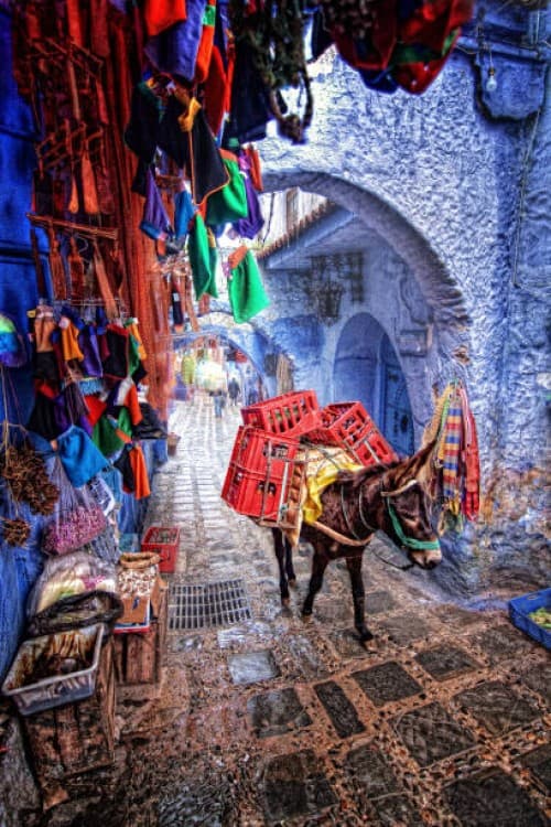 Tangier to Chefchaouen Excursion / Explore Moroccos Blue City | ®ExcursionMania - Image 12