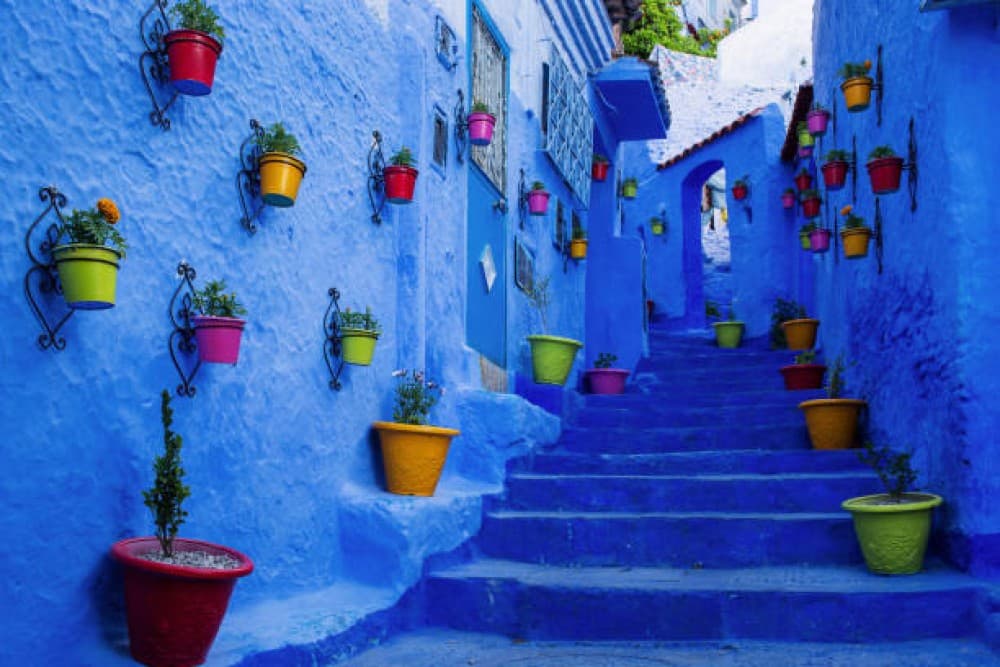 Tangier to Chefchaouen Excursion / Explore Moroccos Blue City | ®ExcursionMania - Image 6