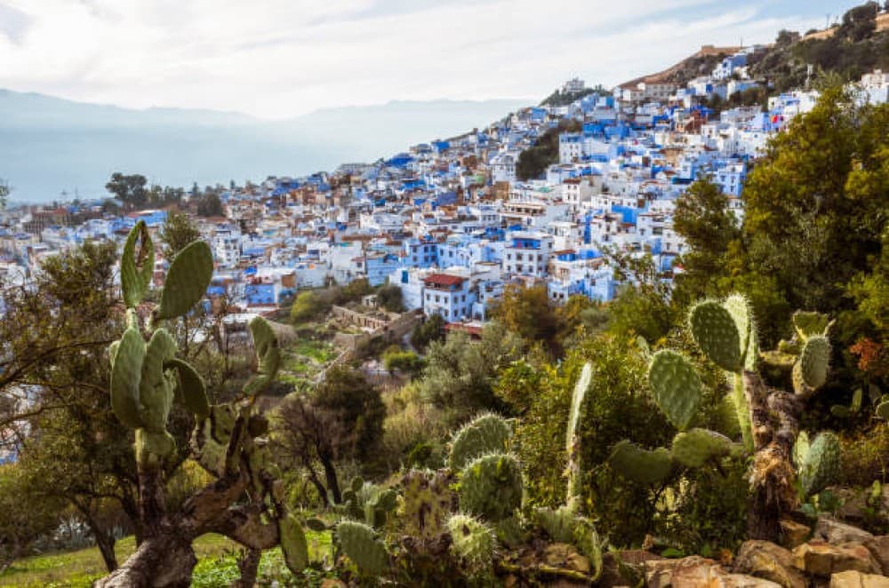 Tangier to Chefchaouen Excursion / Explore Moroccos Blue City | ®ExcursionMania - Image 1