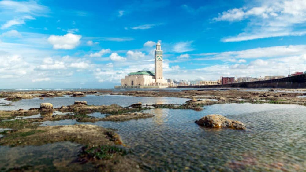 Casablanca City Discovery with Local Guide | ®ExcursionMania - Image 10