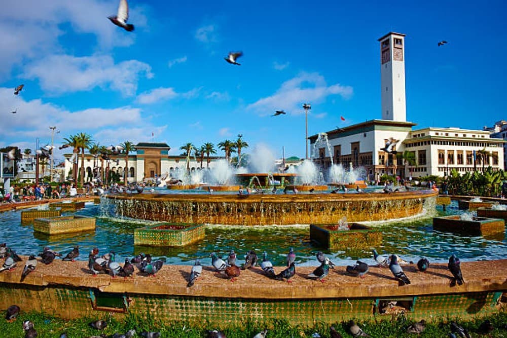 Casablanca City Discovery with Local Guide | ®ExcursionMania - Image 12