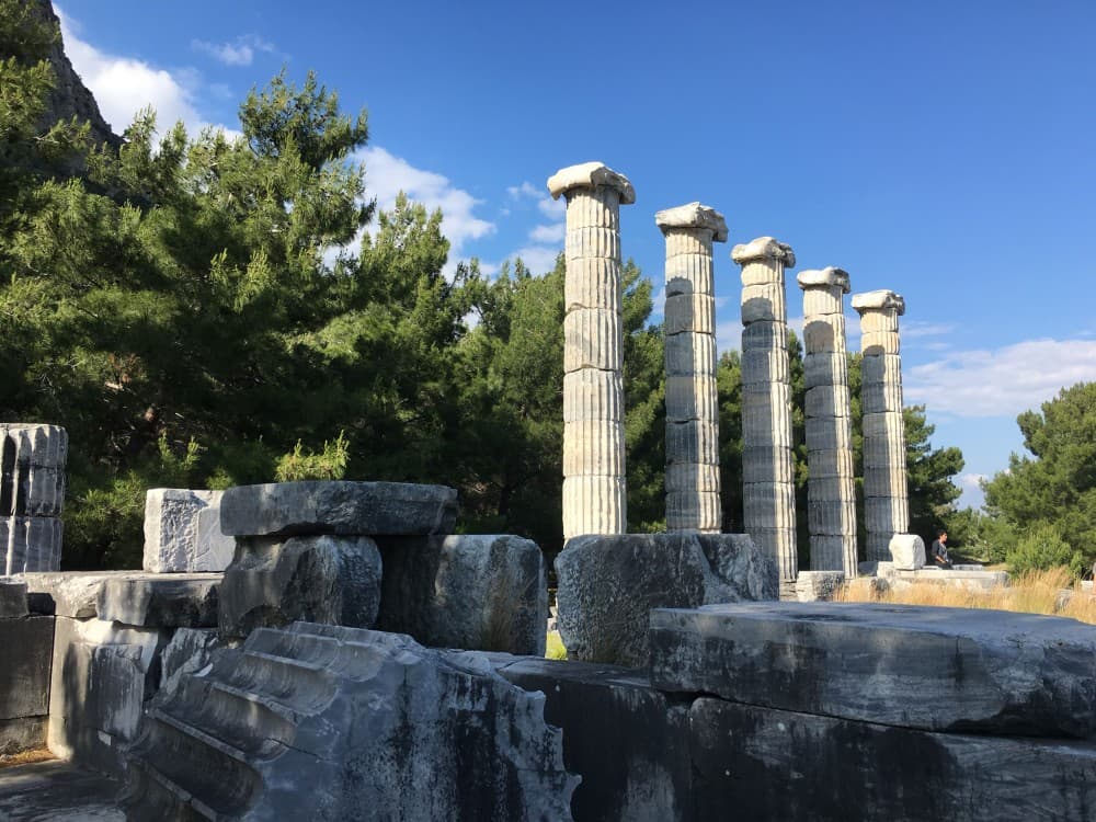 Izmir: The Ultimate Priene Miletus & Didyma Experience | ®ExcursionMania - Image 9
