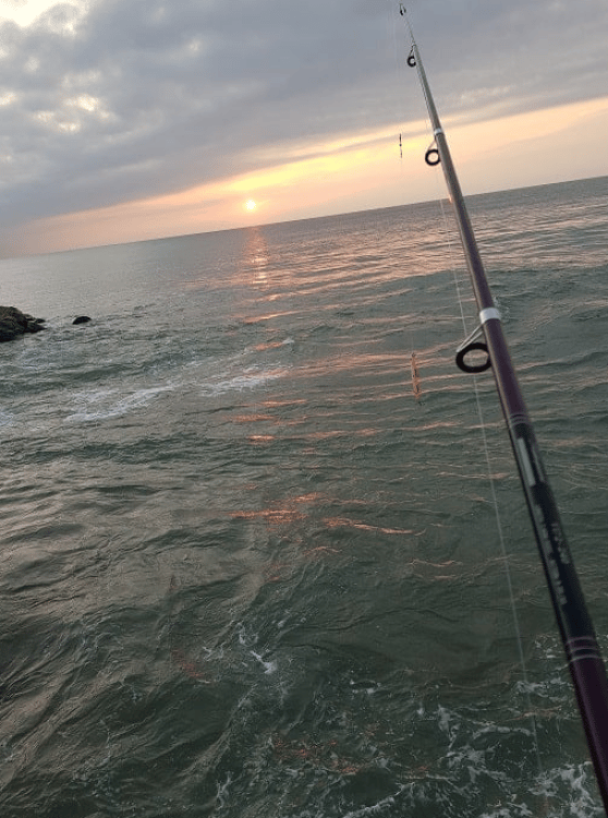 Kemer Fishing Tour: A Peaceful Escape | ®ExcursionMania - Image 3