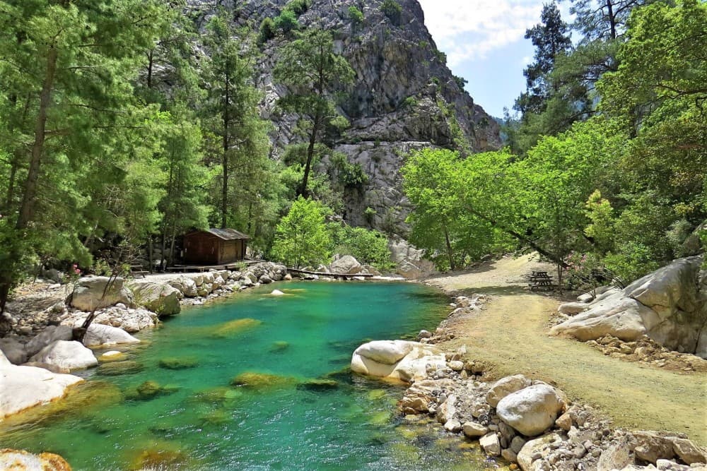 Party Bus Experience to Goynuk Canyon with Admission Included | ®ExcursionMania - Image 6