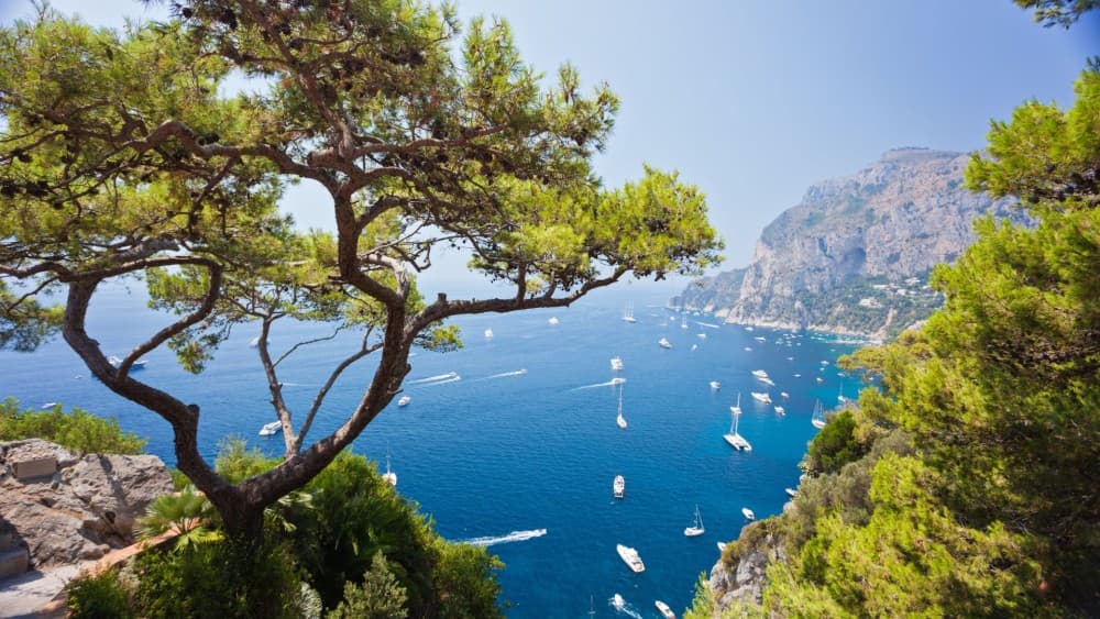 Capri Walking Tour with a Local | ®ExcursionMania - Image 5