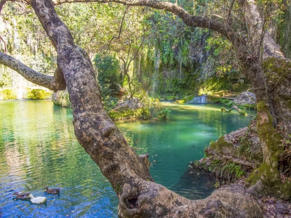 From Kemer: Private Day Trip to Perge, Aspendos & Waterfalls | ®ExcursionMania - Image 9