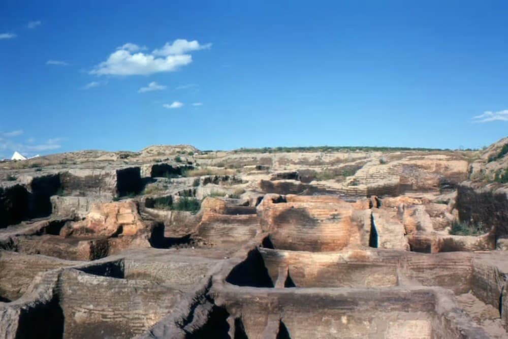 Istanbul: Catalhoyuk & Konya Day Trip with Flights | ®ExcursionMania - Image 4