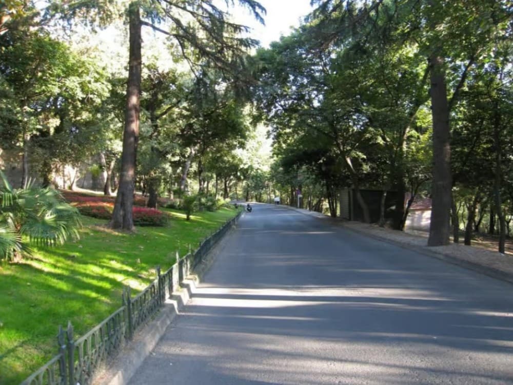 Istanbul: Yildiz Palace Skip-the-Line Entry & Audio Guide | ®ExcursionMania - Image 3