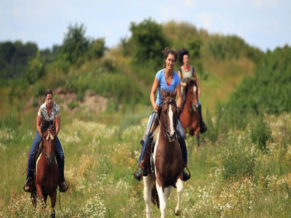 Manavgat-Side Horseback Exploration: Beach to Forest | ®ExcursionMania - Image 1