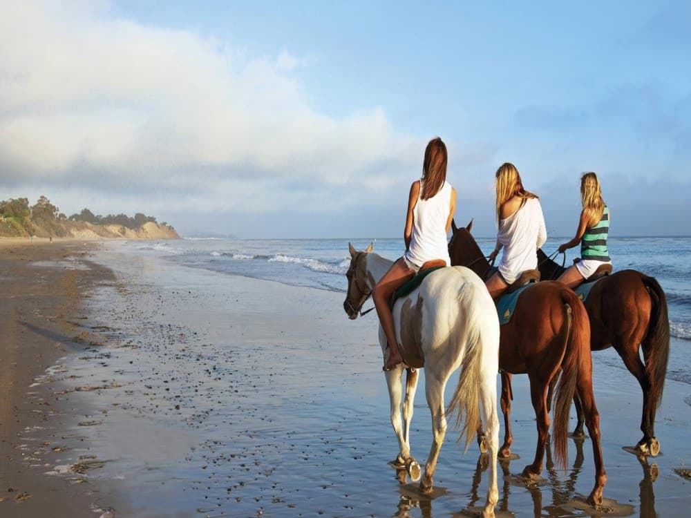 Manavgat-Side Horseback Exploration: Beach to Forest | ®ExcursionMania - Image 2