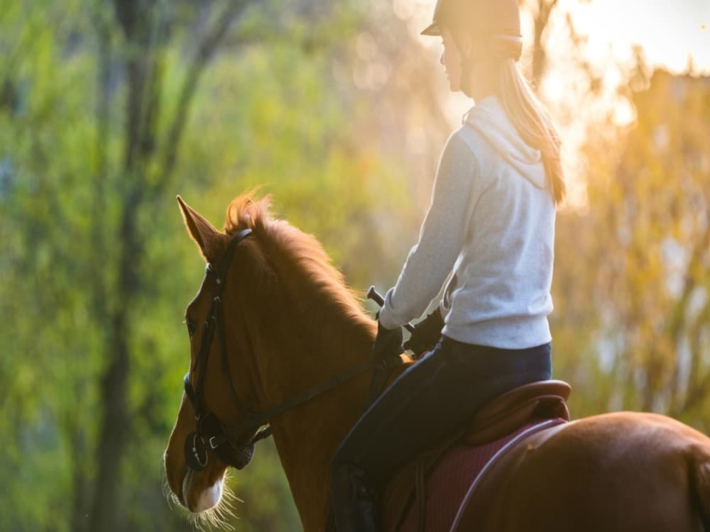 Manavgat-Side Horseback Exploration: Beach to Forest | ®ExcursionMania - Image 4