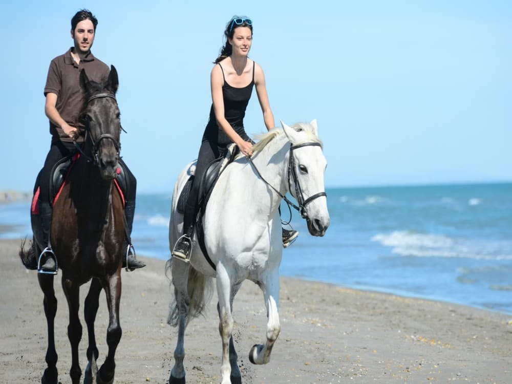 Manavgat-Side Horseback Exploration: Beach to Forest | ®ExcursionMania - Image 5