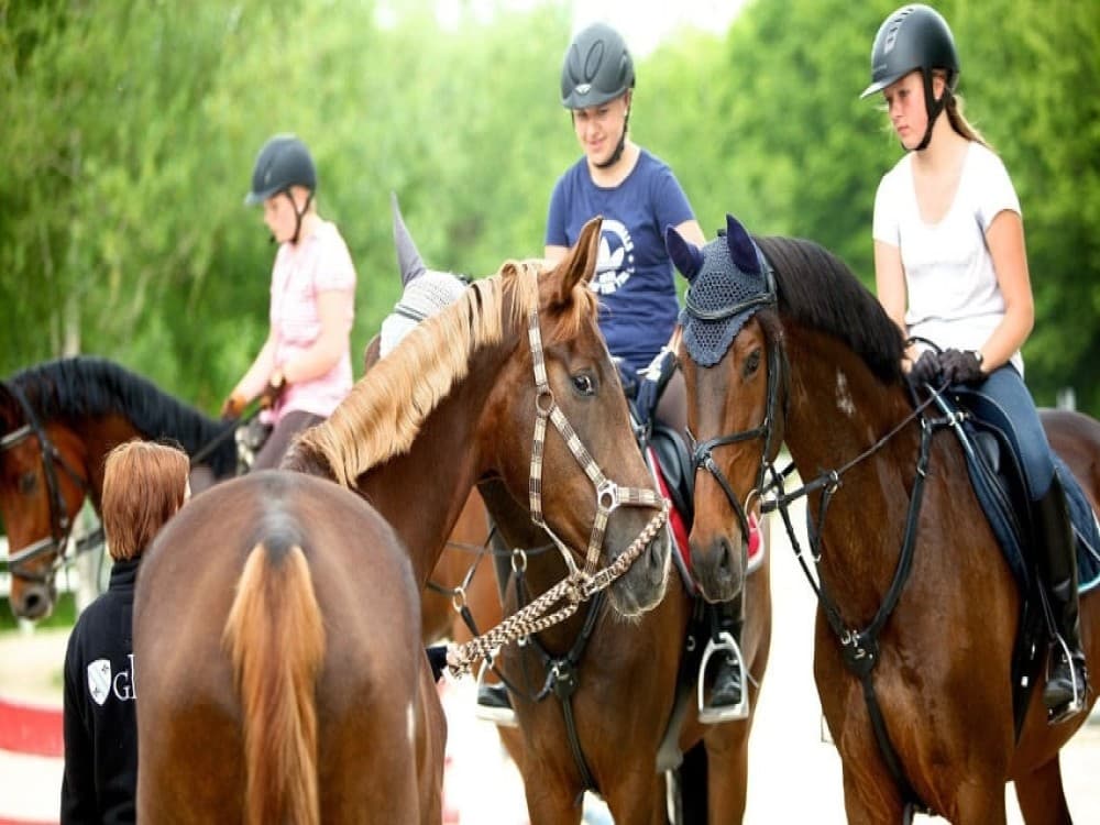 Selcuk Horse Safari: Nature and History Unbridled | ®ExcursionMania - Image 1