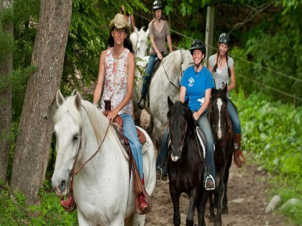 Selcuk Horse Safari: Nature and History Unbridled | ®ExcursionMania - Image 4