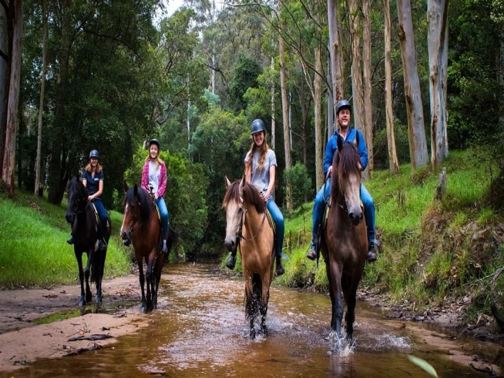 Selcuk Horse Safari: Nature and History Unbridled | ®ExcursionMania - Image 5