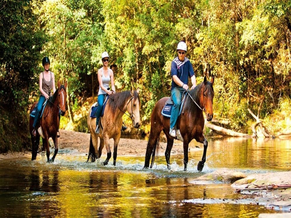 Selcuk Horse Safari: Nature and History Unbridled | ®ExcursionMania - Image 6