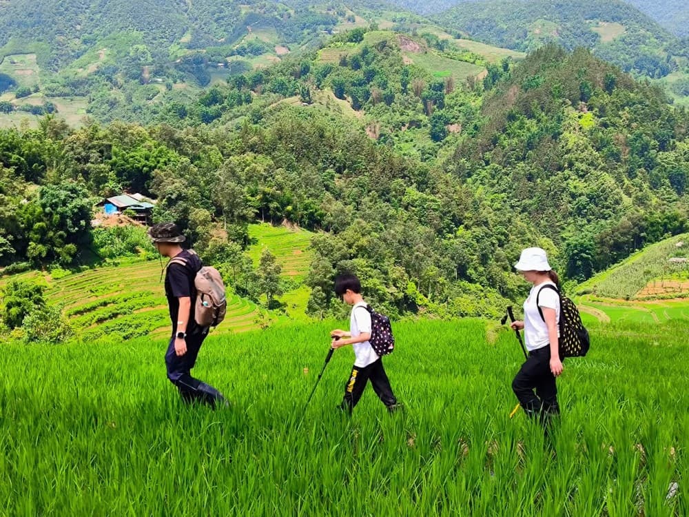 From Hanoi: 2-Day Sapa Trek Tour With Luxury Limousine Transfer | ®ExcursionMania - Image 12
