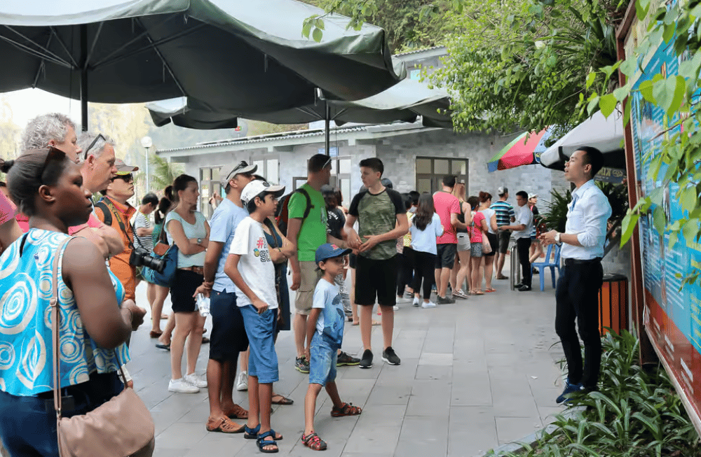 Hanoi: Islands & Caves Ha Long Cruise with Lunch & Kayaking | ®ExcursionMania - Image 8