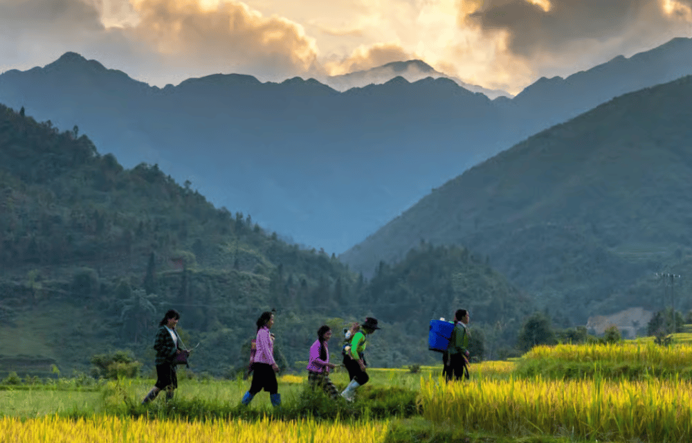 From Hanoi: Sapa Hill Tribes 2-Day Tour by Overnight Train | ®ExcursionMania - Image 3