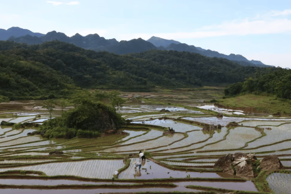 Ninh Binh: Highlights Luxury Small Group Day Tour | ®ExcursionMania - Image 5