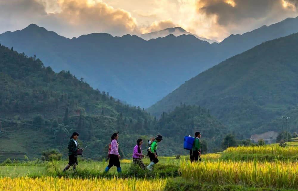 From Hanoi: 3-Day Sapa Trekking with Limousine Transfer | ®ExcursionMania - Image 3