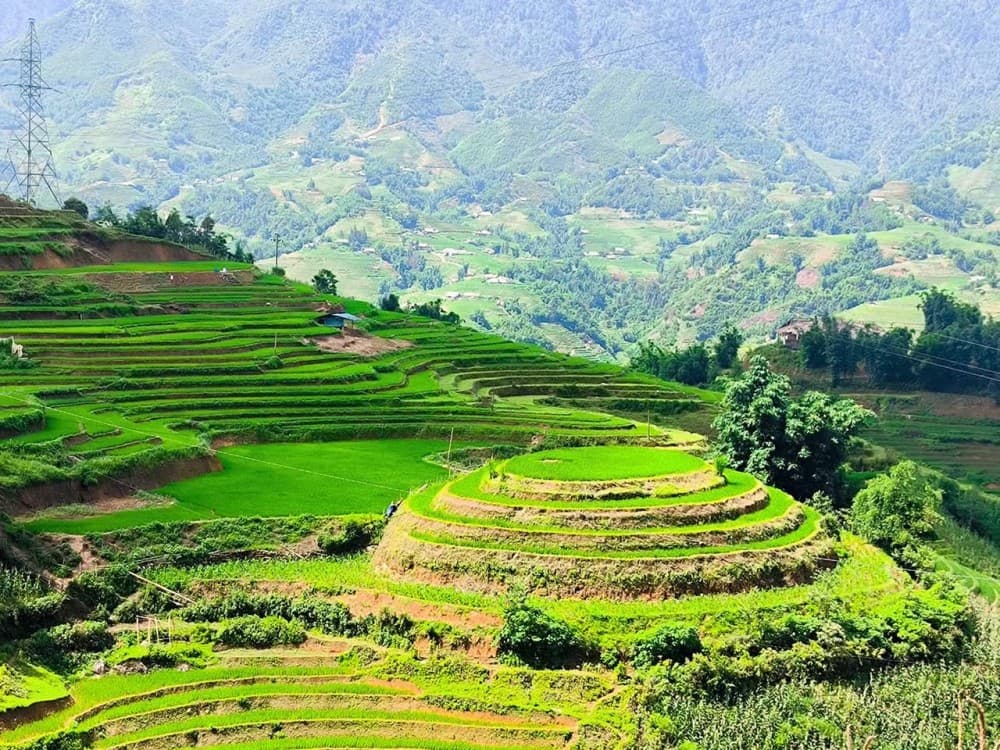 From Hanoi: 2 Nights 2 Days Sapa Tour by Overnight Train | ®ExcursionMania - Image 8