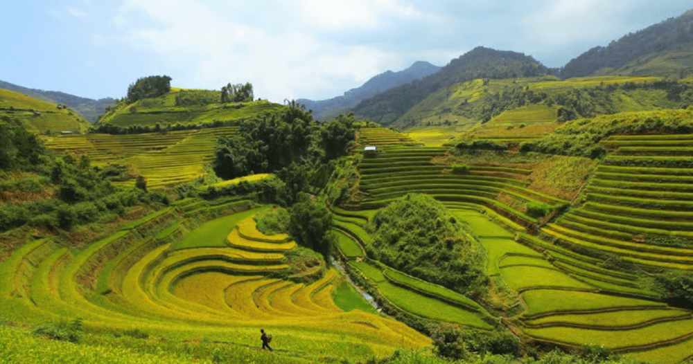 Lao Chai: Full-Day Ta Van Trek Tour from Sapa