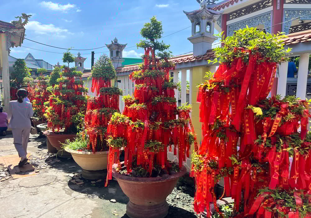 VIP Tour Authentic Mekong Delta & Local pagoda by SpeedBoat | ®ExcursionMania - Image 5