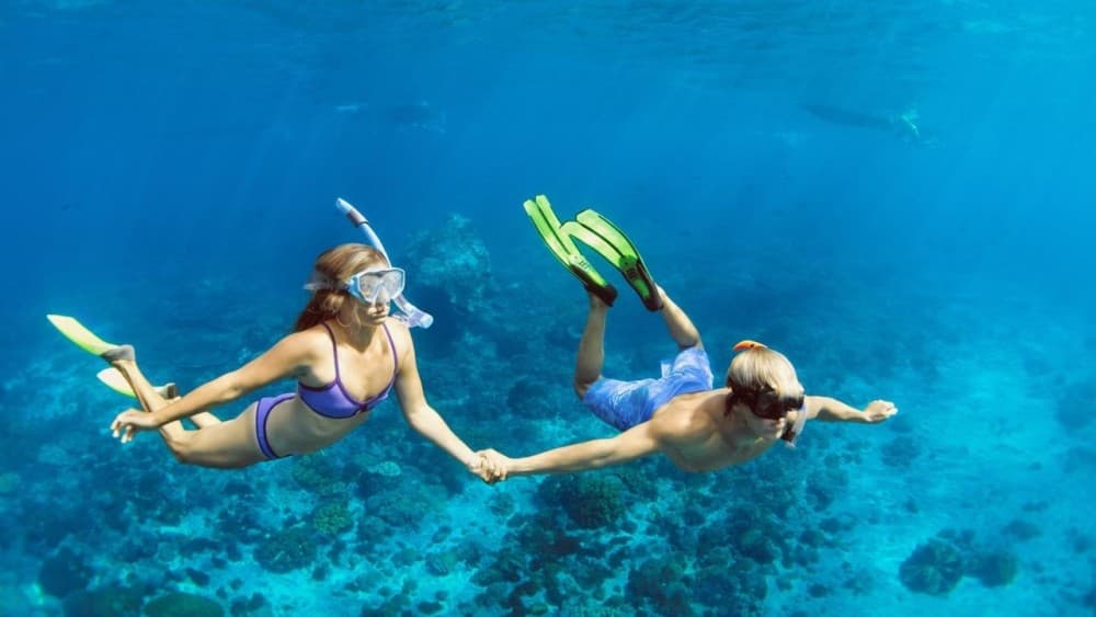 Hurghada: Scuba Diving for Beginners & Certified Divers | ®ExcursionMania - Image 3