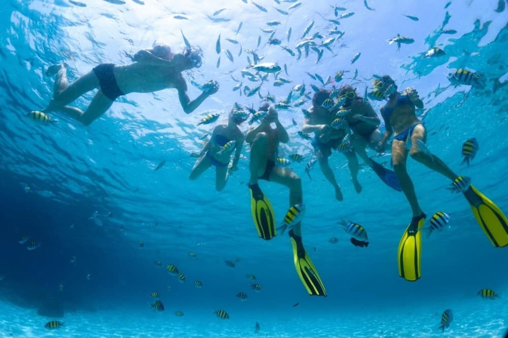 Hurghada: Scuba Diving for Beginners & Certified Divers | ®ExcursionMania - Image 5