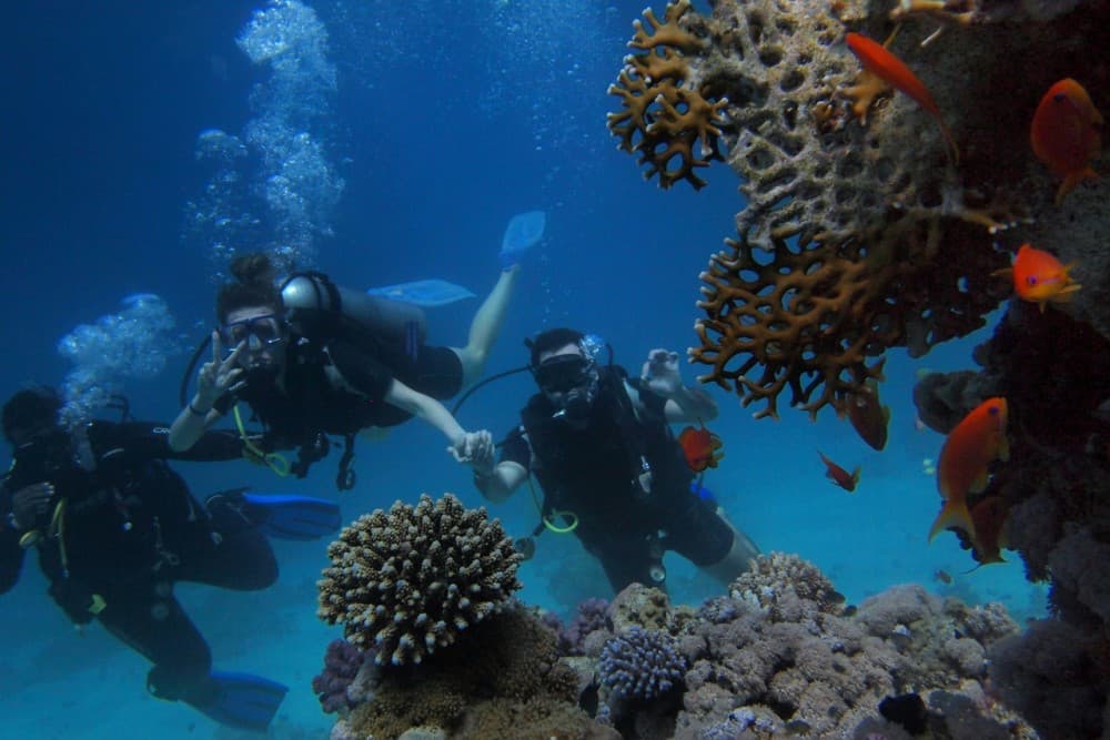 Hurghada: Scuba Diving for Beginners & Certified Divers | ®ExcursionMania - Image 6