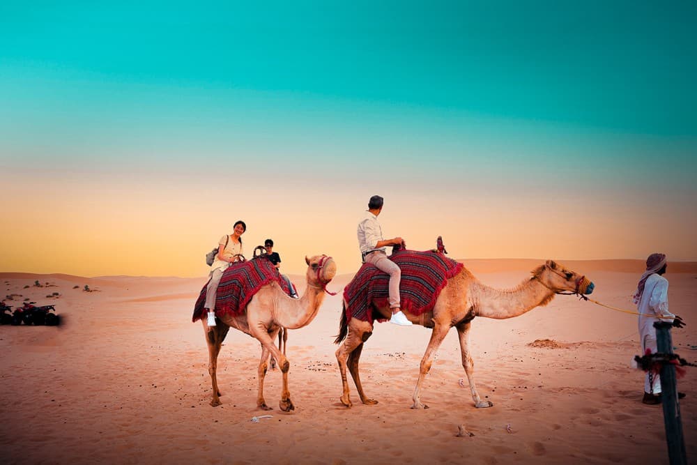 Abu Dhabi: Desert Safari with BBQ Dinner, Belly, Tanoura Show  & More | ®ExcursionMania - Image 8