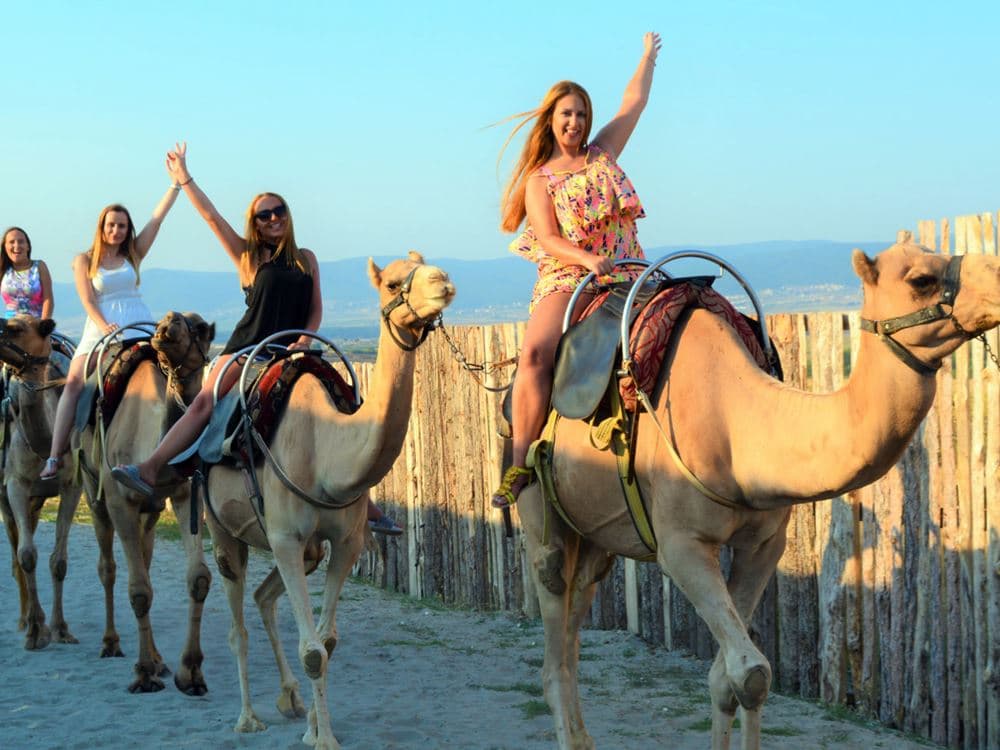 Fethiye Camel Riding: Experience Nature | ®ExcursionMania - Image 3