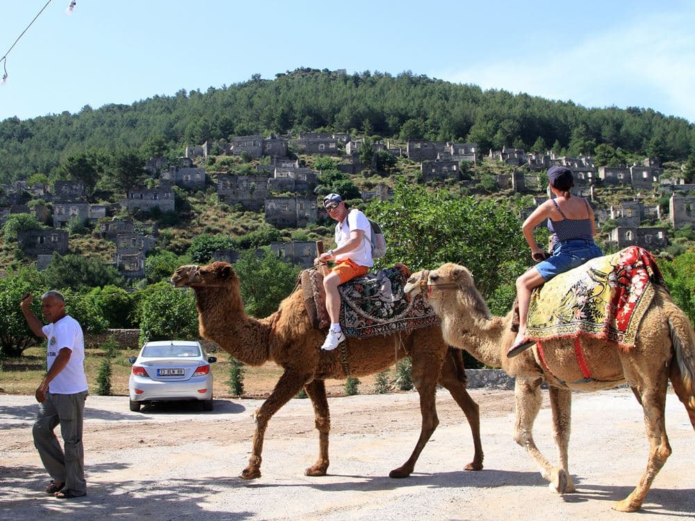 Fethiye Camel Riding: Experience Nature | ®ExcursionMania - Image 5