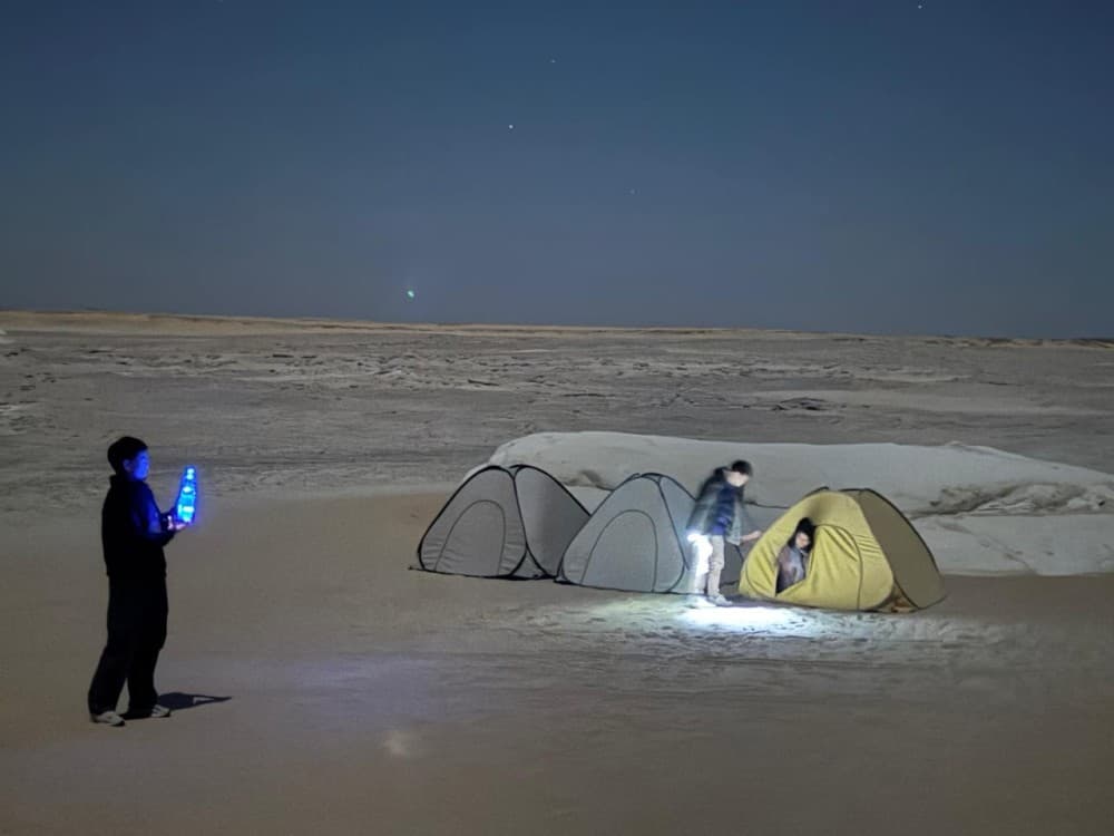 2 Days to White Desert and Bahariya Oasis Tour From Cairo & Giza | ®ExcursionMania - Image 2