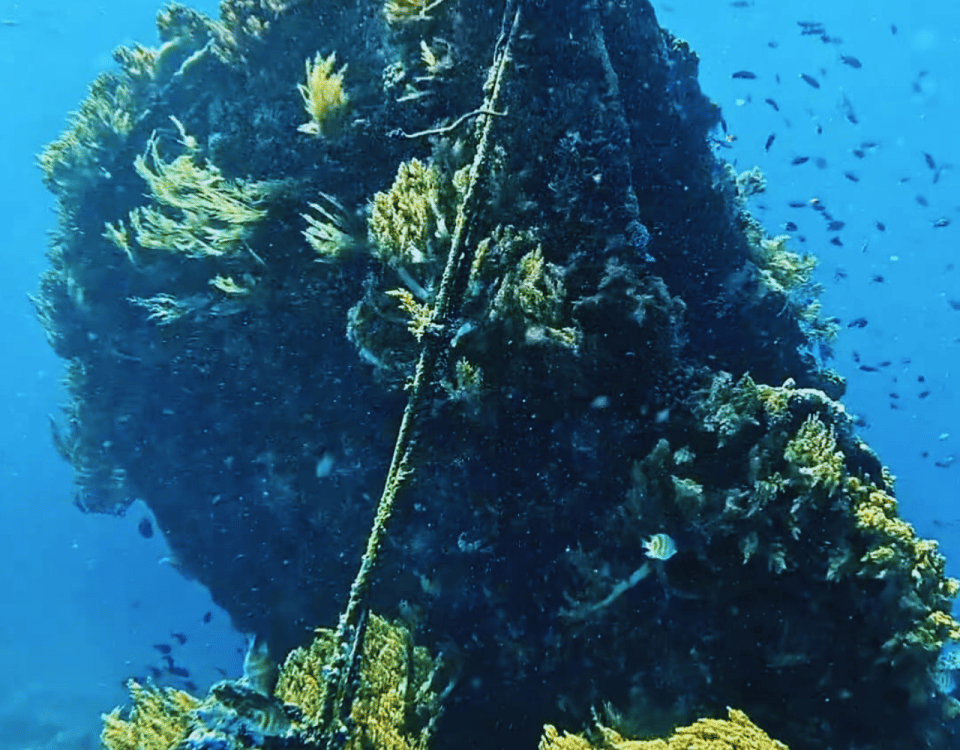 Amed Bali Snorkeling: Explore 3 Spots by Traditional Jukung | ®ExcursionMania - Image 6