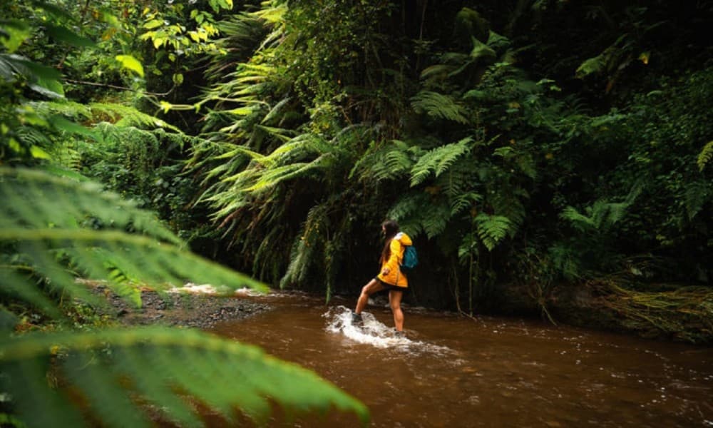 Arusha: Napuru Waterfalls Guided Hike | ®ExcursionMania - Image 4