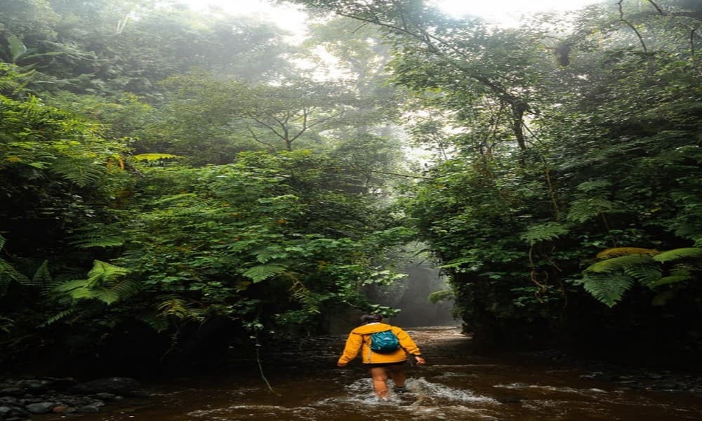Arusha: Napuru Waterfalls Guided Hike | ®ExcursionMania - Image 5