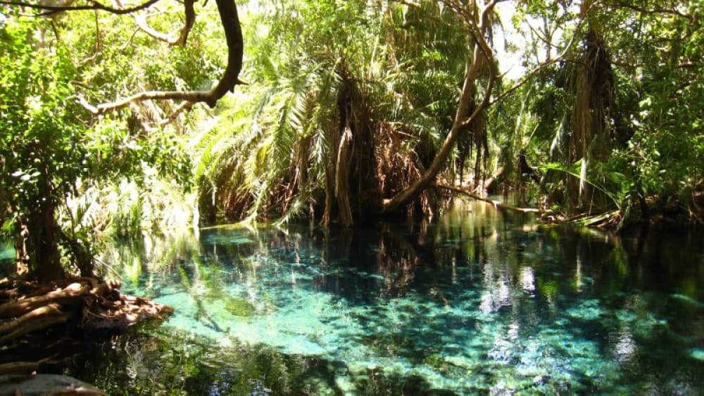 Lake Duluti Private Day Trip  Canoing & Hiking | ®ExcursionMania - Image 4