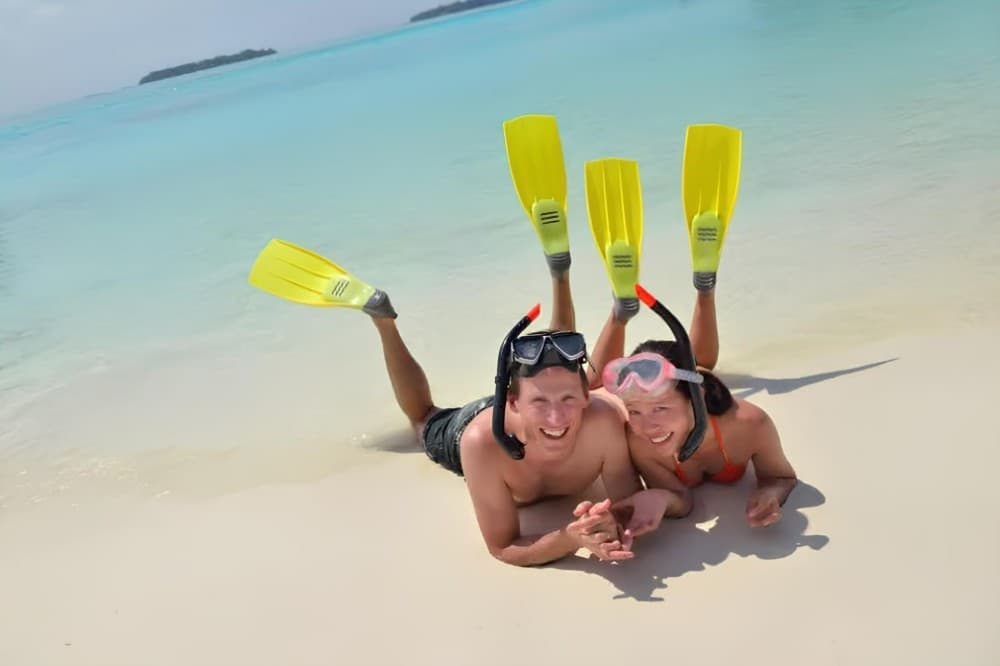 Hurghada: Speedboat Dolphin Watching & Snorkeling with Fruit | ®ExcursionMania - Image 4