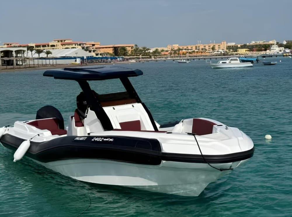 Hurghada: Speedboat Dolphin Watching & Snorkeling with Fruit | ®ExcursionMania - Image 10